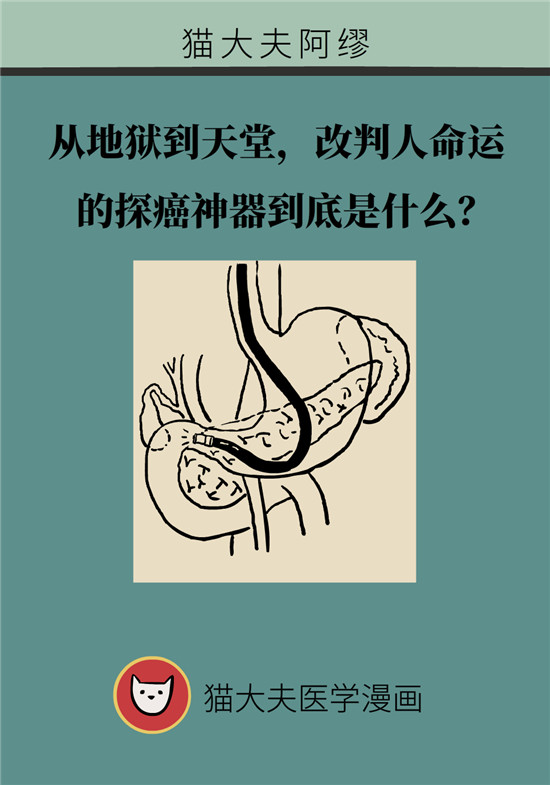 哪些人需要查胰腺癌？如何查？指南來了！