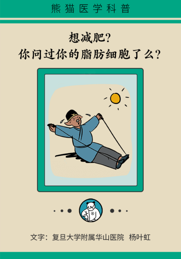 夏季想要快速瘦身，不做好這兩點(diǎn)任何減肥方法都沒(méi)用！