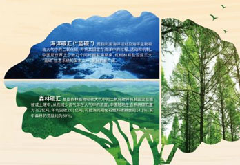 未標(biāo)題-1.jpg
