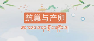 未標(biāo)題-1.jpg
